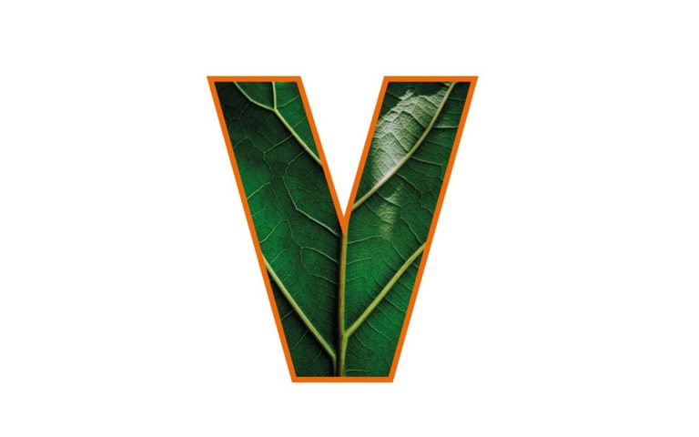 Related image for Vollmer of America
