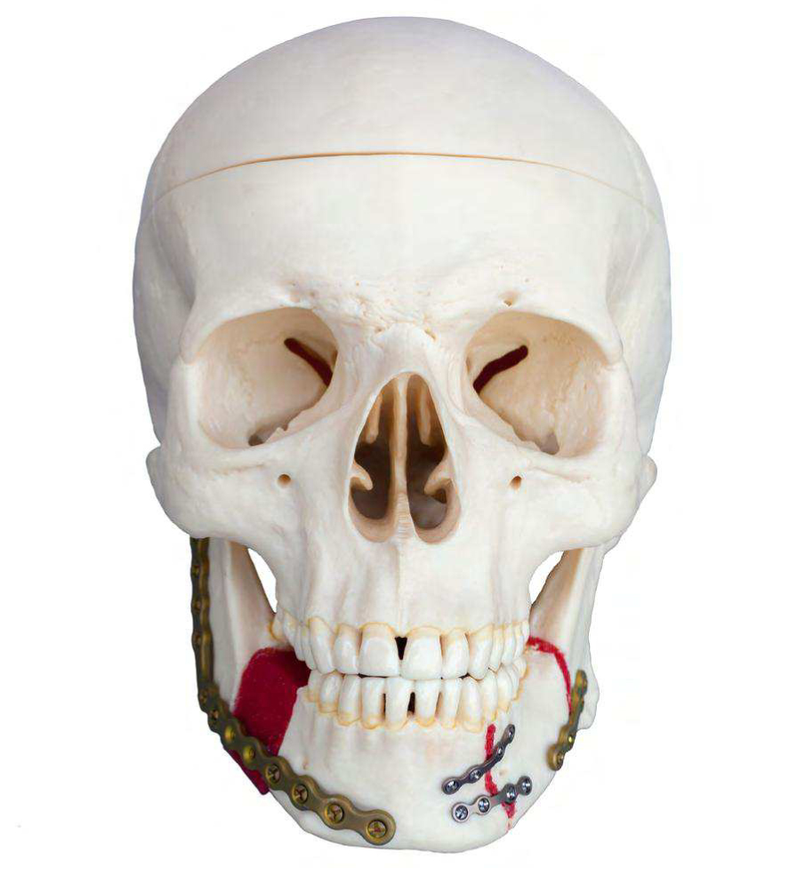 Related image for Inovatools USA LLC