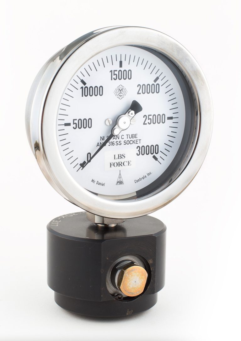 Related image for Dillon Chuck Jaws
