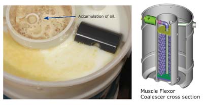 Related image for Zebra Skimmers Corp.