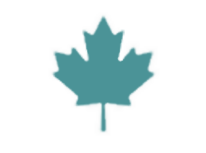 Maple logo 300
